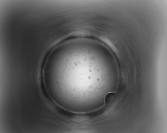 X0000088910487200706151909