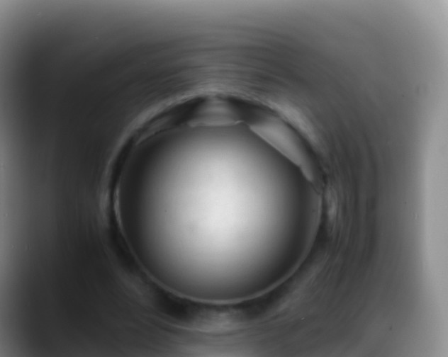 X0000088910488200706151909