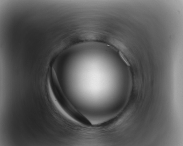 X0000088910489200706151909