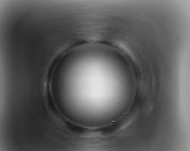 X0000088910491200706151909