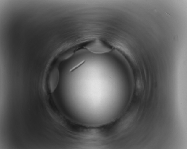 X0000088910492200706151909