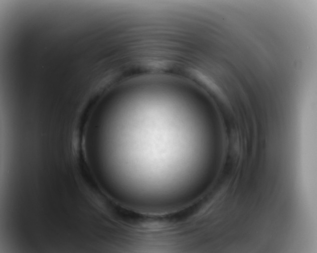 X0000088910494200706151909