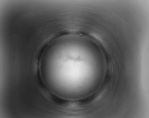 X0000088910495200706151909