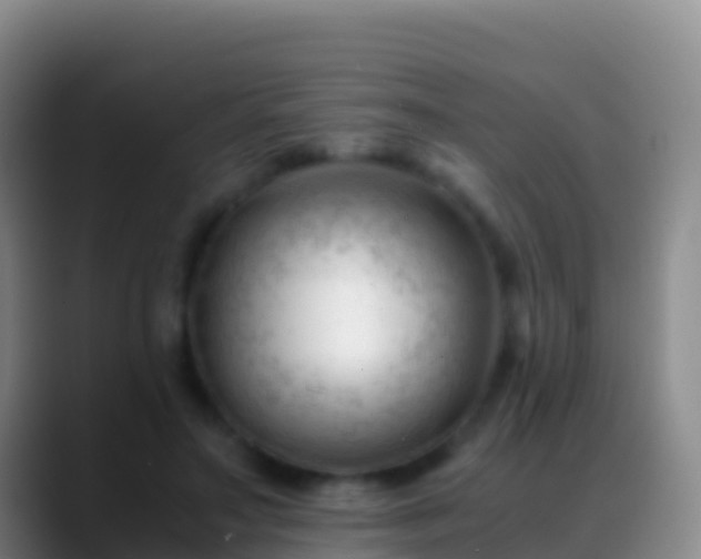 X0000088910499200706151909