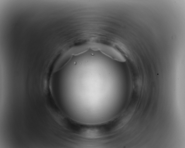 X0000088910500200706151909