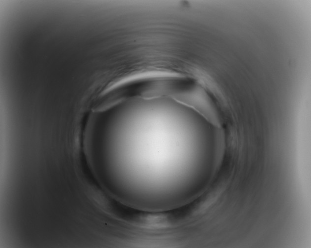 X0000088910501200706151909