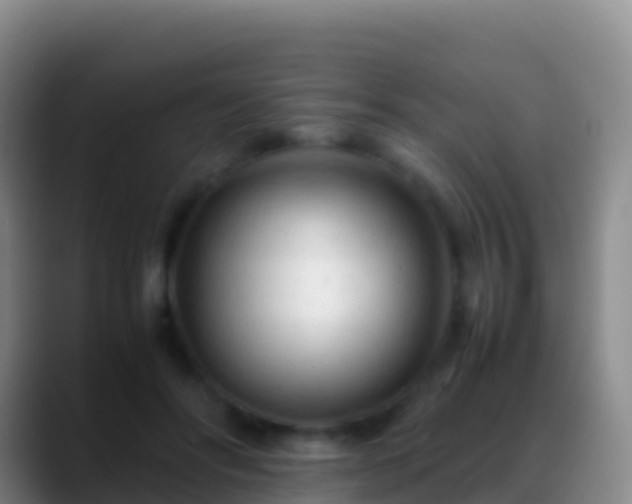 X0000088910502200706151908