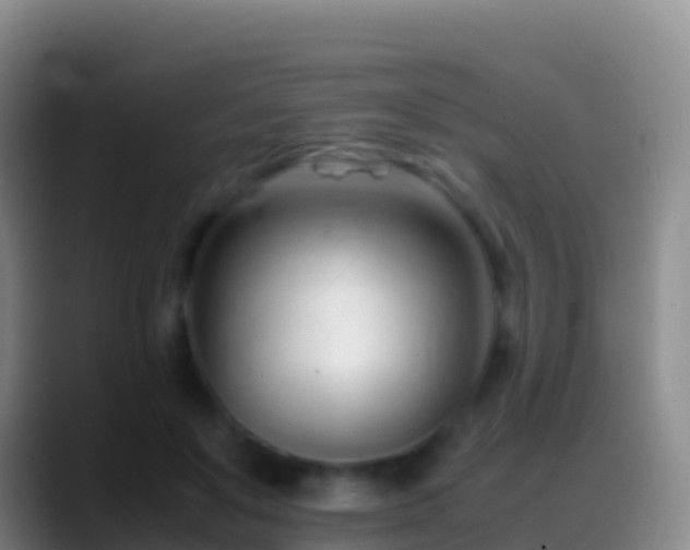 X0000088910503200706151908