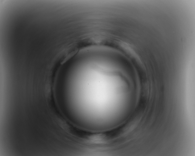 X0000088910505200706151908