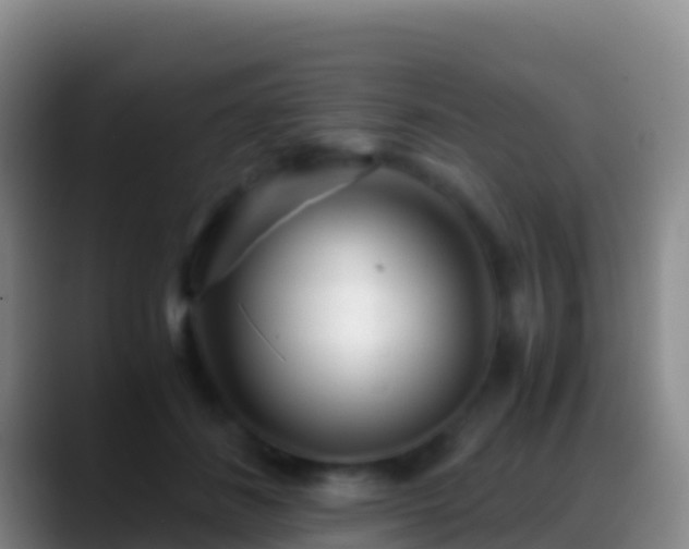 X0000088910508200706151908