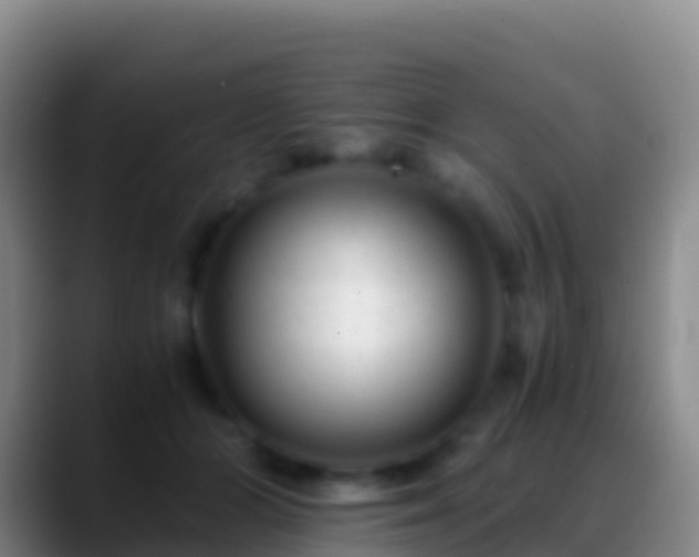 X0000088910510200706151908