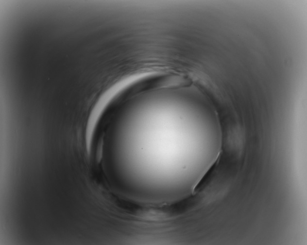X0000088910512200706151908