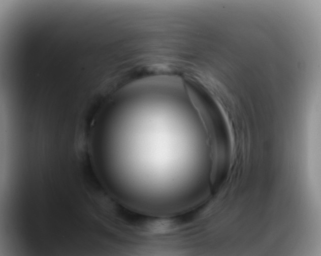 X0000088910513200706151908