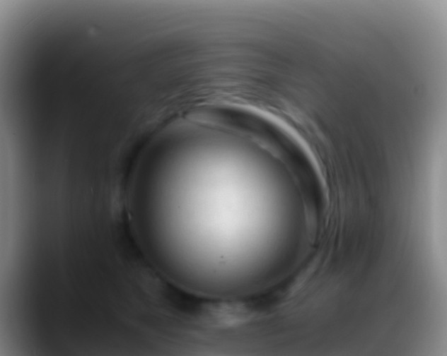 X0000088910517200706151908