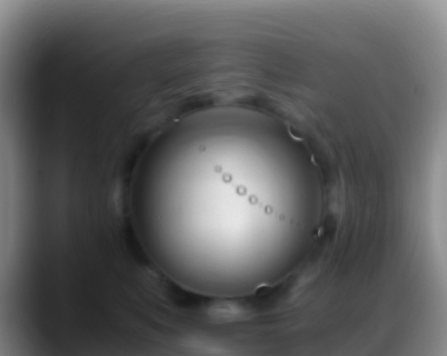 X0000088910519200706151908