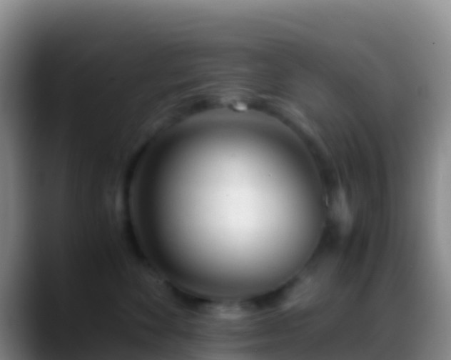 X0000088910524200706151908