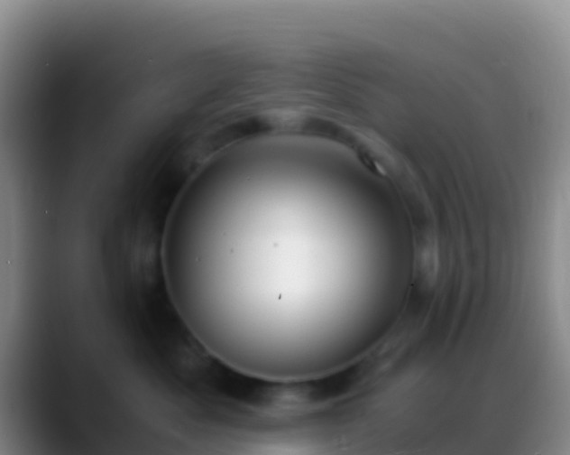 X0000088910525200706151908