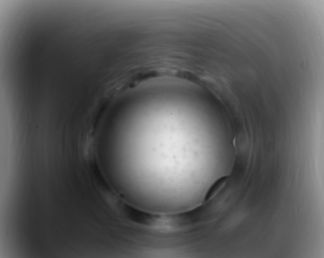 X0000088910527200706151908