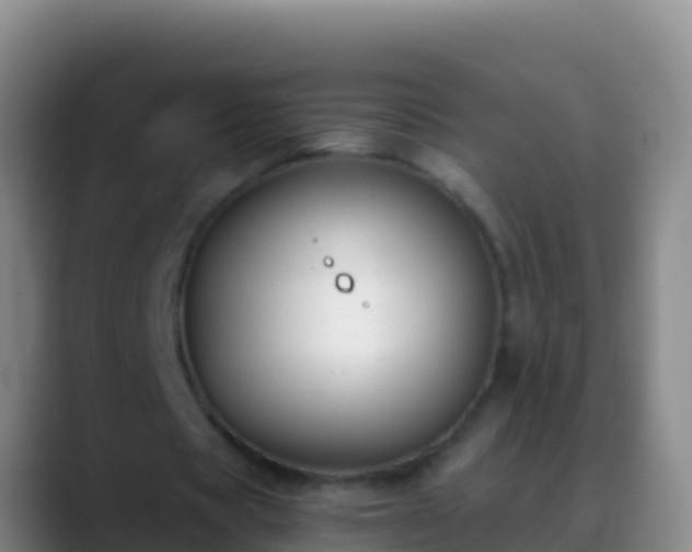 X0000088910529200706151908