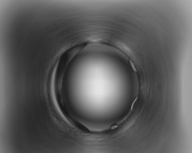 X0000088910530200706151908