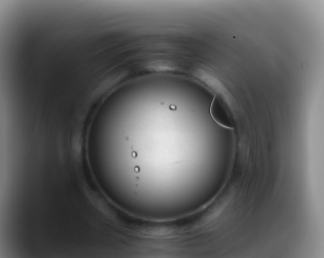 X0000088910533200706151908