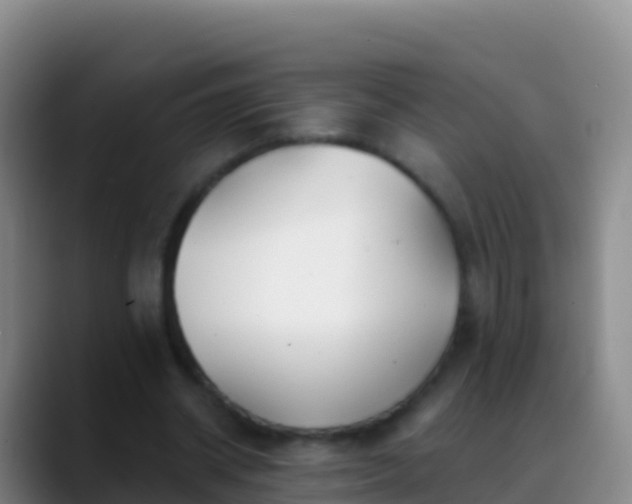 X0000088910534200706151908