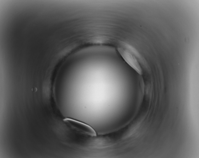 X0000088910540200706151908