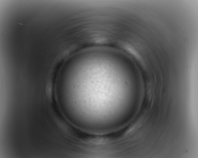 X0000088910542200706151908
