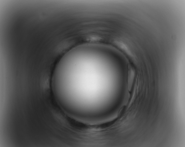 X0000088910543200706151908