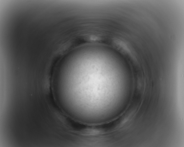 X0000088910545200706151908