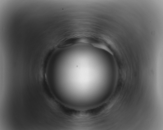 X0000088910546200706151908