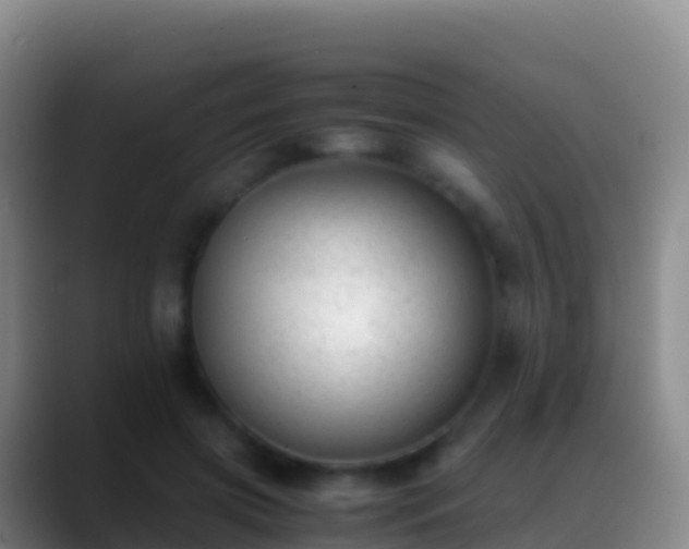 X0000088910549200706151908