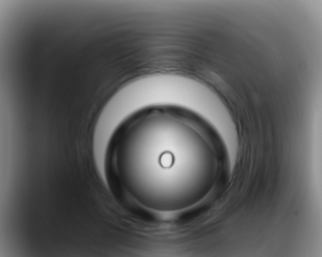 X0000088910552200706151908
