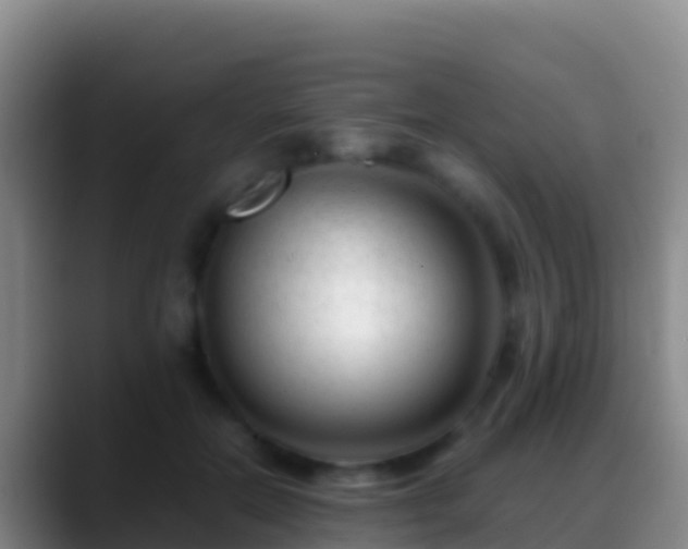 X0000088910554200706151908