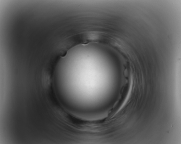 X0000088910555200706151908
