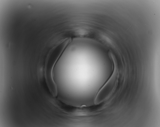 X0000088910556200706151908