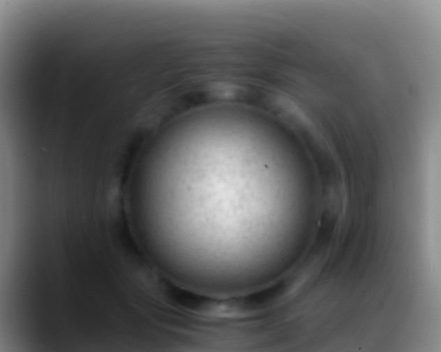 X0000088910557200706151908