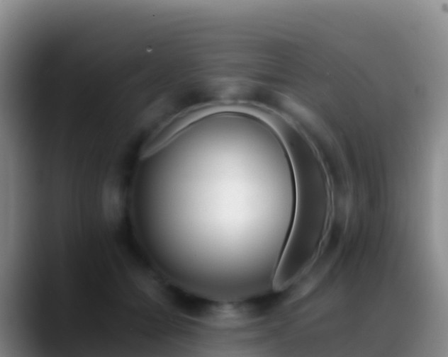 X0000088910558200706151908