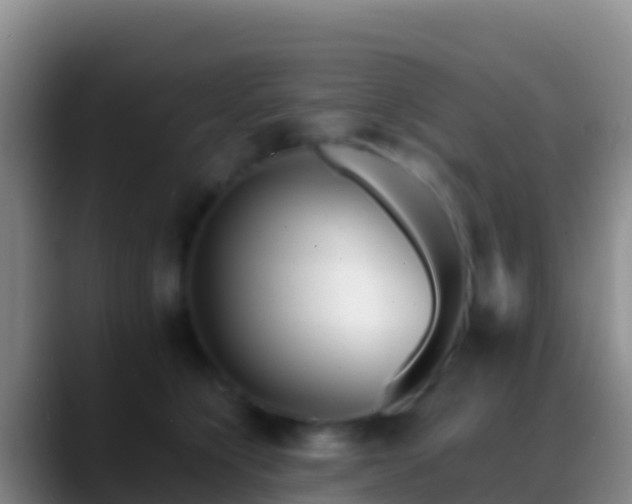 X0000088910564200706151908