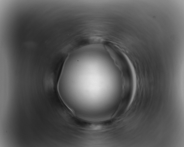 X0000088910570200706151908