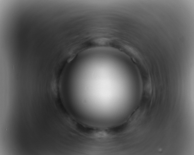 X0000088910572200706151908