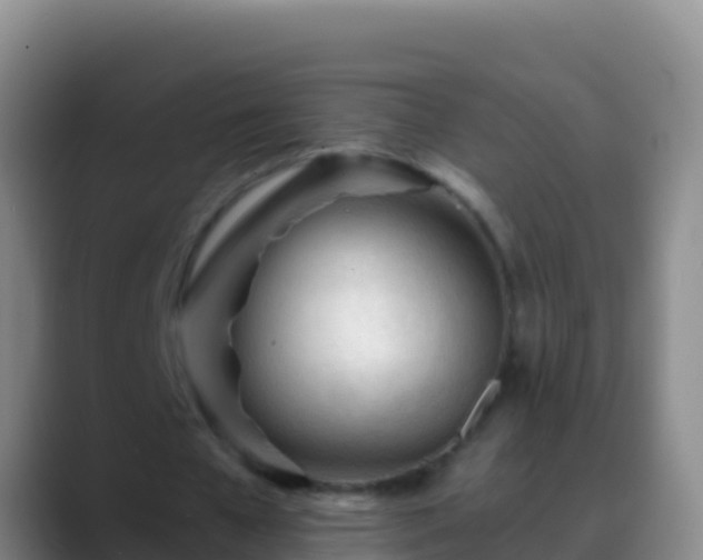 X0000088910577200706151908