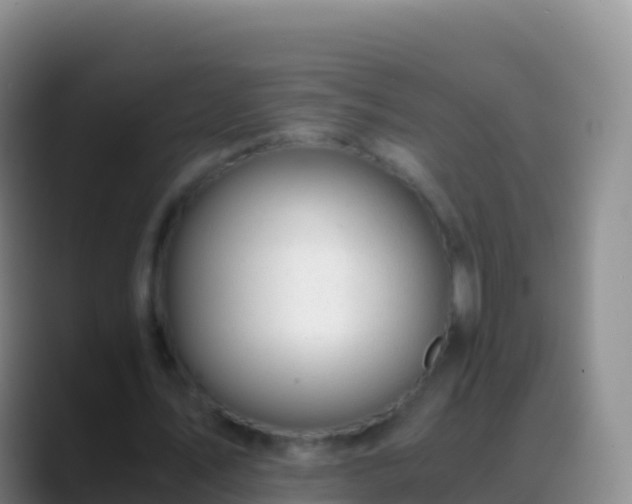 X0000088910579200706151908