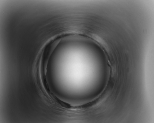 X0000088910580200706151908