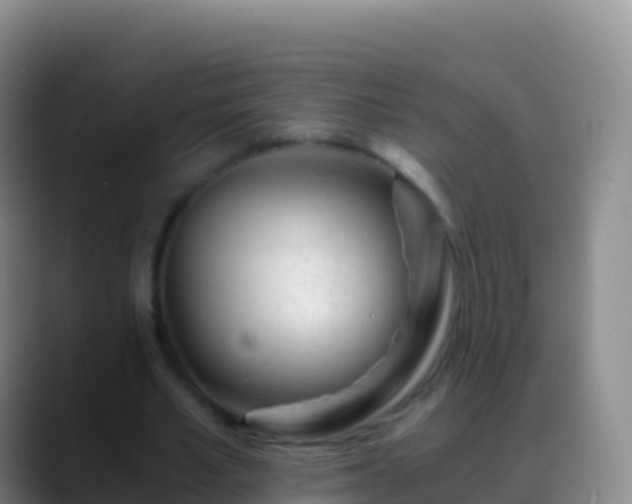 X0000088910581200706151908