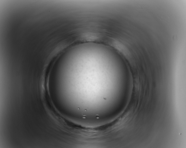 X0000088910582200706151908