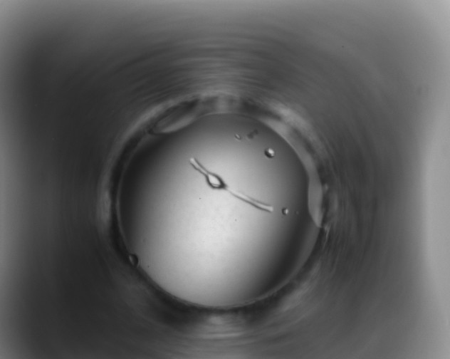 X0000088910584200706151908