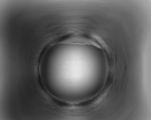 X0000088910585200706151908