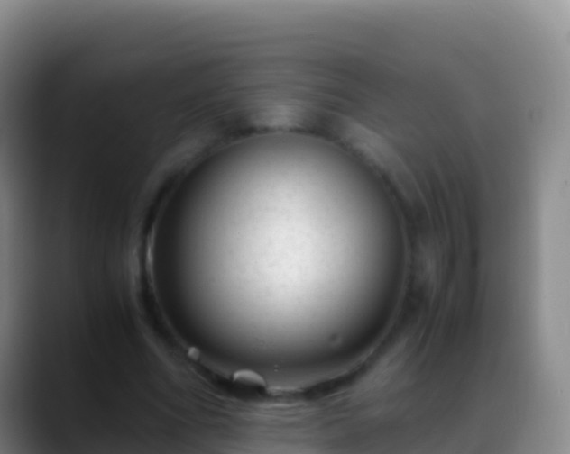 X0000088910586200706151908