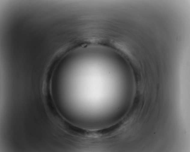 X0000088910587200706151908